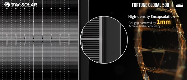 2.3M views · 5.3K reactions | Tongwei Gene, Repower N! ☀ Tongwei's...