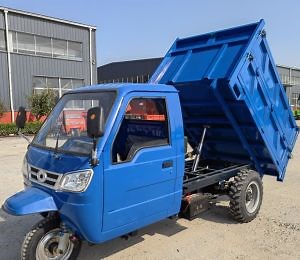 [Hot Item] Electric Three Wheeler Trikes Tricycle Cargo / Tricycles for Delivery Agriculture