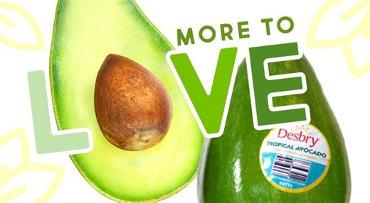 All About Tropical Avocados