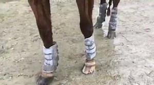 23K views · 22 reactions | Dirty boots? Watch this! Shows how easy #HUSK PURE boots are to clean! Thanks Ella for sending video to show how easy our PURE boots are to clean with just a hose! | The HUSK. | Facebook