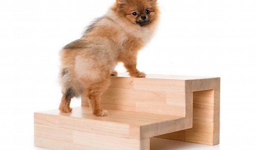 DIY Dog Stairs: How to Build Your Own Doggy Steps
