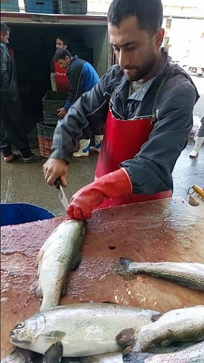 Watch Me Fillet Rainbow Trout Using a Traditional Japanese Technique