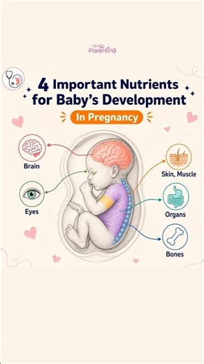 4 Important Nutrients for Baby's Brain Development in Pregnancy