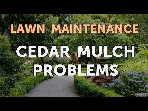 Cedar Mulch Problems
