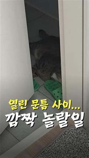 I looked to see why someone was lying on the bathroom floor...