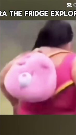 Dora the frige exploder