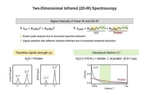 Two-Dimensional Infrared (2D-IR) Spectroscopy_English