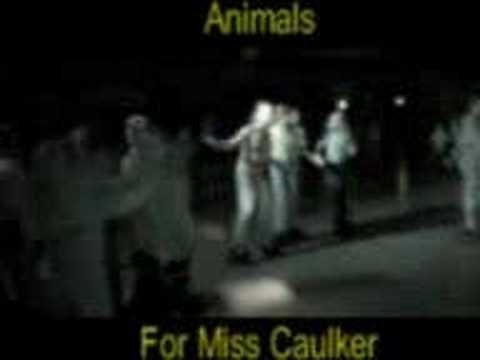 Animals - For Miss Caulker