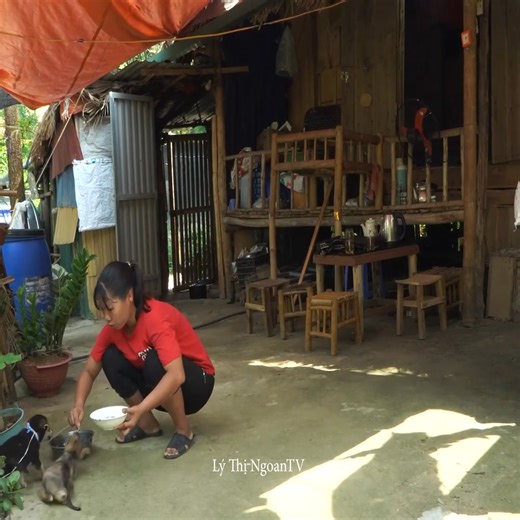 He suddenly got sick because he helped Ngoan build a new house - Ly Thi NgoanTV | Lý Thị Ngoan