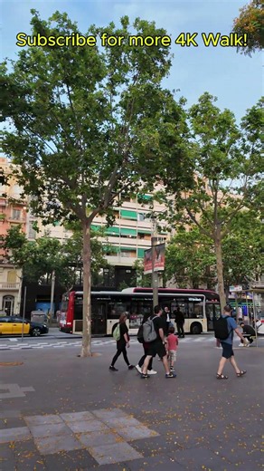 Evening Walk in Barcelona 🌆 | 4K City Vibes in Spain #travel #barcelona #spain #europe #4kwalk