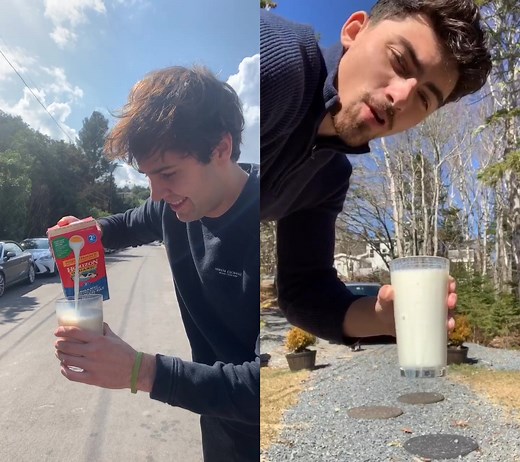 Favorite David Dobrik Girlfriend Challenge