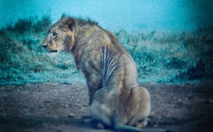 13K views · 552 reactions | Bhagawan Sri Sathya Sai baba's East...