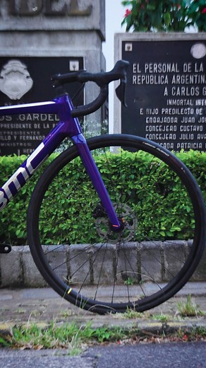 Las bicicletas #BMC son sinonimo de calidad y elegancia 😎 . . #cyclinglife #roadbike #bmcbikes #ciclistas #ciclismoderuta #eleganciayestilo | Ciclo Boutique