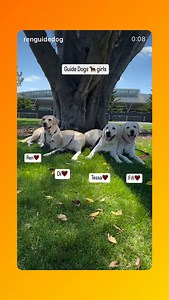 Guide Dogs Australia on Reels