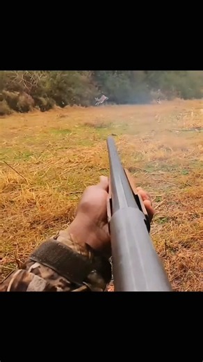 Four Deer Five Shots Incredible Hunting Moment #Deer #RunningDeer #Wildlife#Nature