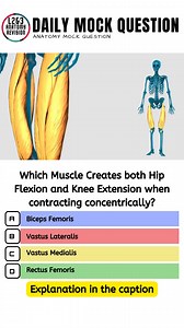 Which Muscle Creates both Hip Flexion and Knee Extension when contracting concentrically? A. Biceps Femoris B. Vastus Lateralis C. Vastus Medialis D. Rectus Femoris To answer this question you need to understand muscle actions and also origins and insertions. It can't be A,The Biceps Femoris as this is a hamstring muscle on the back of the leg. It creates the opposite muscle actions of hip extension and knee flexion. It can't be either of the Vasti Muscles as none of the three Vasti muscles cros