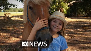 A much-loved pony that helped club members ride for the first time, has died after being shot with arrows in its paddock in Darwin. WARNING: This video contains images that may distress some viewers. http://ab.co/2z2q7Mu | ABC News