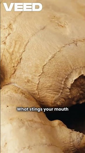Why Ginger Burns... But Heals! 🌿 The Spicy Secret of Gingerol 🔥
