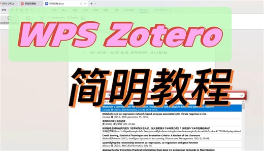 Zotero WPS插件简要教程
