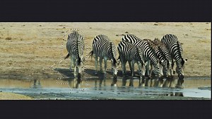 Do you have #PhotoshopCC but haven't utilized all it's amazing features? Ben Willmore has a Photoshop Bootcamp and it starts next week! http://cr8.lv/22rsmly | CreativeLive