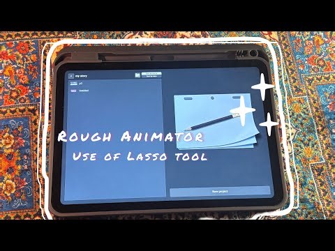Use of Lasso tool in rough animator