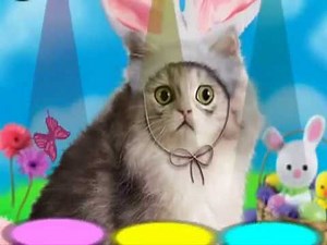 WebcamMax demo clip, webcam effects software, free app