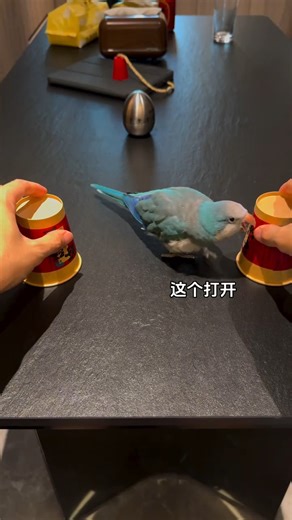 Smart Parrot 😂 | Animals World , Nature & Quotes