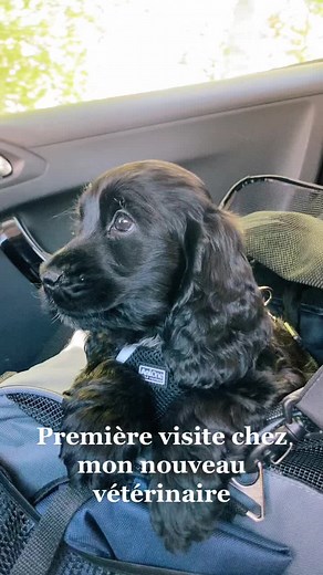 Thelma Paula sur TikTok