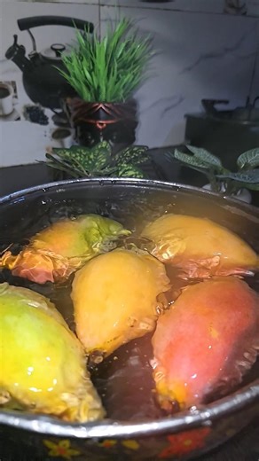 #mango season summer 🏝️#mangoseason #mango