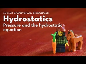 Hydrostatics - pressure and the hydrostatic equation