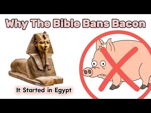 Why Were Pigs Unclean? 17 Historical Reasons