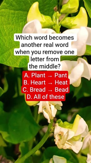 Which word becomes another real word when you remove one letter from the middle?