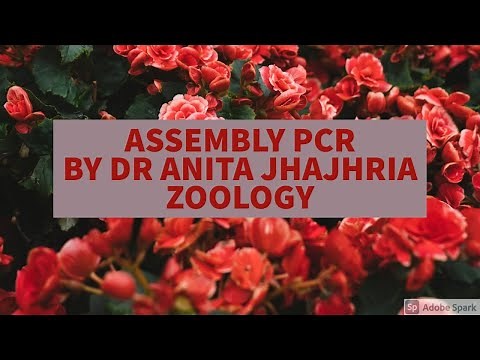 Assembly PCR