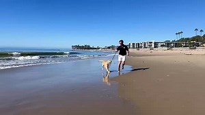 140 reactions · 11 comments | Sean is one of our wonderful service...