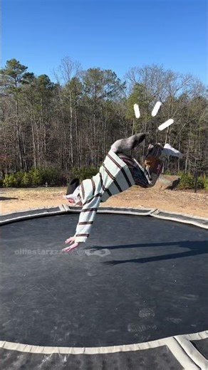 𝐼 𝓁𝑜𝓋𝑒 𝓉𝒽𝒾𝓈 𝒿𝓊𝓂𝓅 🤍#quadrobics #therian #otherhearted #furry #alterhuman #antizoo