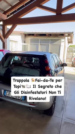 Trappola 🪤Fai-da-Te per Topi🐀🐁: Il Segreto che Gli Disinfestatori Non Ti Rivelano! #TrappolaTopi #FaiDaTe #DisinfestazioneSegreta Marco Autocom | Skerdjan Halilaj