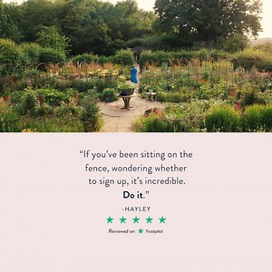 Unlock 15% off a year of creative learning ✨ Enjoy unlimited access to expert-led courses in interiors, gardening and crafts. ✅ Discover a new creative passion or skill ✅ Learn from celebrated experts in interiors, gardening, craft or food ✅ Transform your home & garden and craft bespoke gifts ✅ Access over 1300 lessons and course workbooks ⭐ Rated ‘Excellent’ on Trustpilot | Create Academy