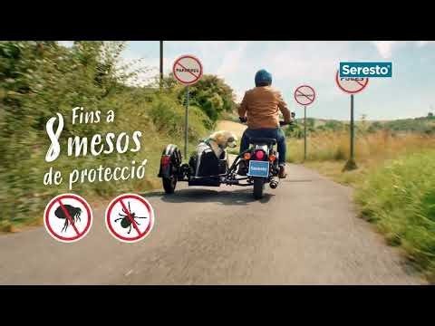 Seresto (CAT): Un clic, 8 mesos de protecció