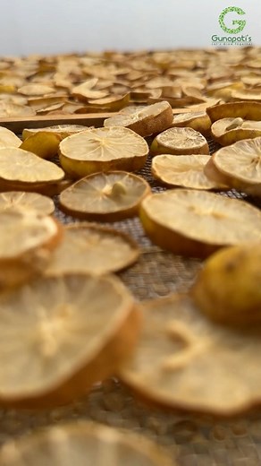842K views · 10K reactions | Lemon drying in Solar dryer #lemondrying #valueaddition #valueadd #lemon #lemons #farming #farm #entrapreneur #agribusiness #raheja #agrisol #pmfme #foodprocessing #agriculture #agri #horti #instagram #instalike #instagood #viral #viralreels #viralvideos #trending #trend #trendingreels #gunapatis #fbreels #fbreelsvideo #fbreelsfypシ゚viral #farmlifestyle #lemon #dryer #valueadded | Gunapatis | Facebook