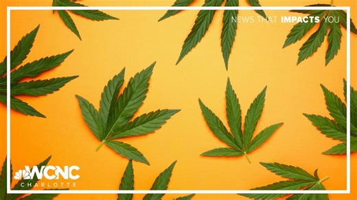 Could marijuana be legalized in North Carolina?