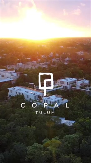 COPAL TULUM 🌿🐆 Re - Invented Greenery 🌿〰️ #tulummexico #tulumhotels #mexicanjungle #hospitality #tulumhotels #boutiquehotel #mexicancaribbean #travelers #traveltips #tulum #paradisehotel #besthotels #natural #lifestyle