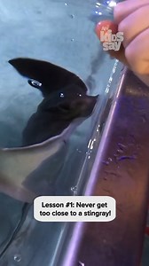 That was a rude reaction! 🌊 #kids #aquarium #fail #reels | Kids Say