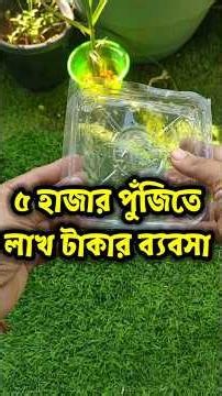 ৫ হাজার পুঁজিতে ঘরোয়া ব্যবসা। Start Business in 5000 Rupees Only| Low Investment Business