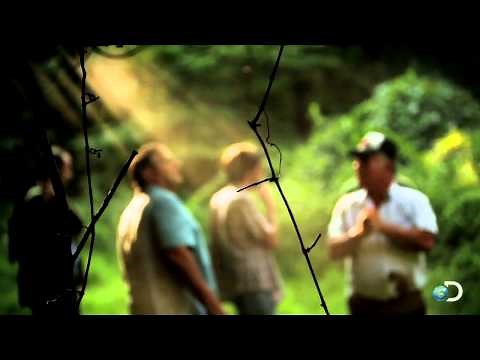 Special Brand of Outlaw | Dixie Mafia