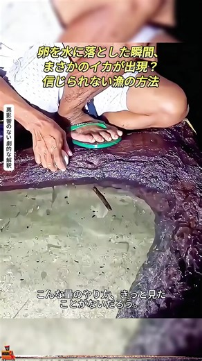 驚きの漁法！卵でイカが出現する瞬間