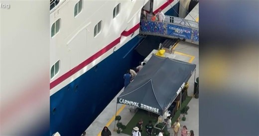 Mother jumps into water to save 4-year-old who fell from Carnival cruise dock