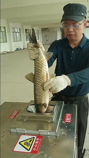 Fish Cleaning Machine in Action: Gutting, Descaling & Cleaning in Seconds 👀