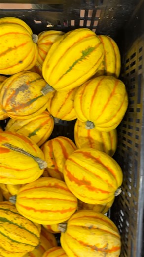 Just a little teaser for your feed! These are just SOME of the goodies you can expect to find on our winter market tables. If your goal for the new year is to eat more local, healthy foods, we can truly be your one stop shop for veg, meat, cheese, bread and SO much more. We are open every Saturday right on through the winter! Hours are 9 to 1 @stevenssquarecommunitycenter. #portlandmainefarmersmarketcommunity #eathealthy #eatlocal #portlandmaine | Portland Maine Farmers' Market