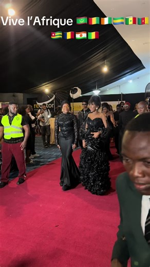 Vive l'Afrique : Découvrez la culture malienne et sénégalaise