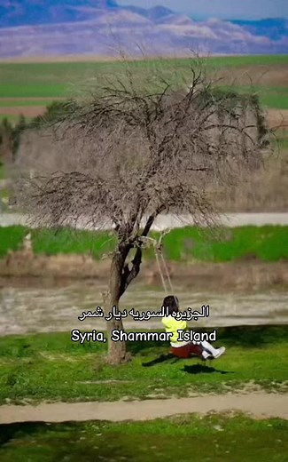 شجرة شمر في سوريا: ديار الخرصة وعبدالرحمن الجربا